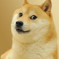 doge~
