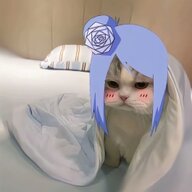 douim要上超