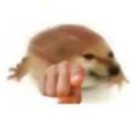 mcxiaocao
