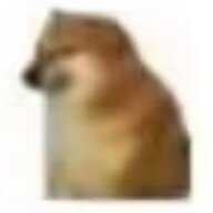 555445