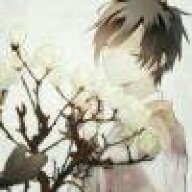 yiran