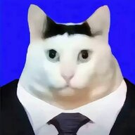 fsfsygvtcs