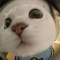 aaa7
