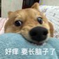 UREH1