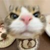 LinksQAQ